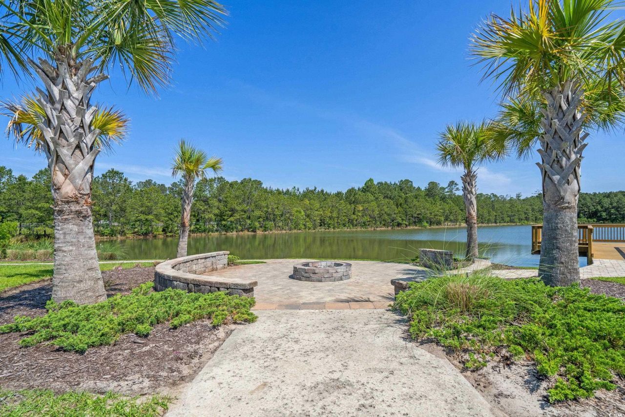 1225 Wind Swept Ct. Photo 38