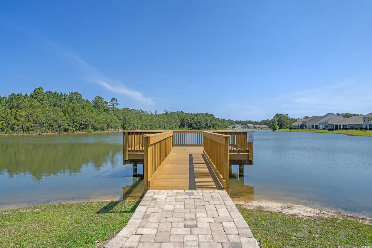 1225 Wind Swept Ct. Photo 39