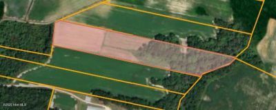 Parcel 2 Thunder Swamp Road, Mount Olive, NC 28365 Main Photo