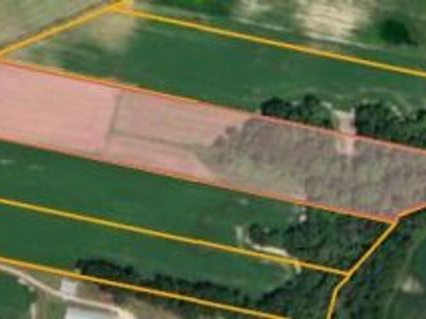 Parcel 2 Thunder Swamp Road, Mount Olive, NC 28365