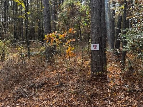 0 Oliver Road, Haughton, LA 71037