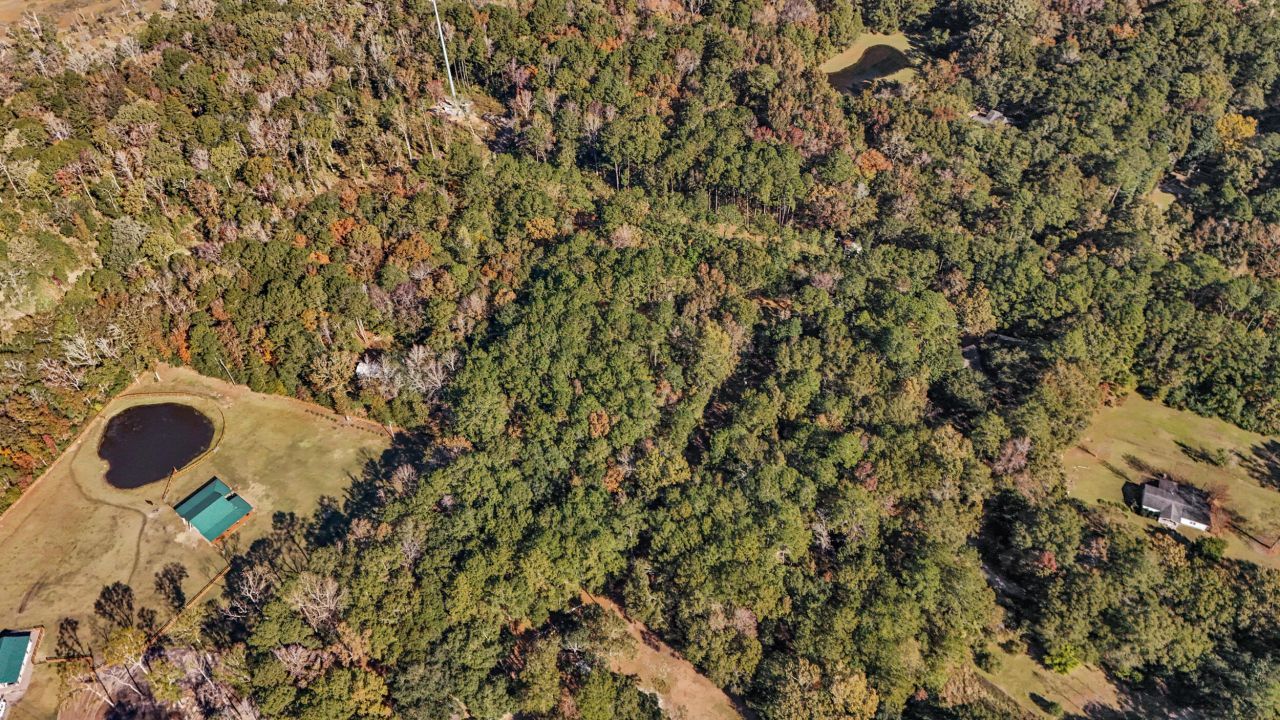 4910 Highway 162 Photo 15