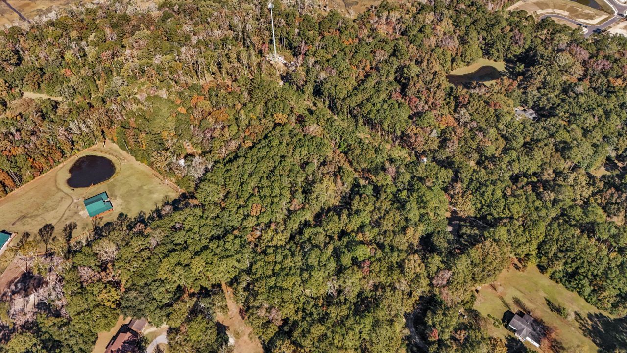 4910 Highway 162 Photo 16