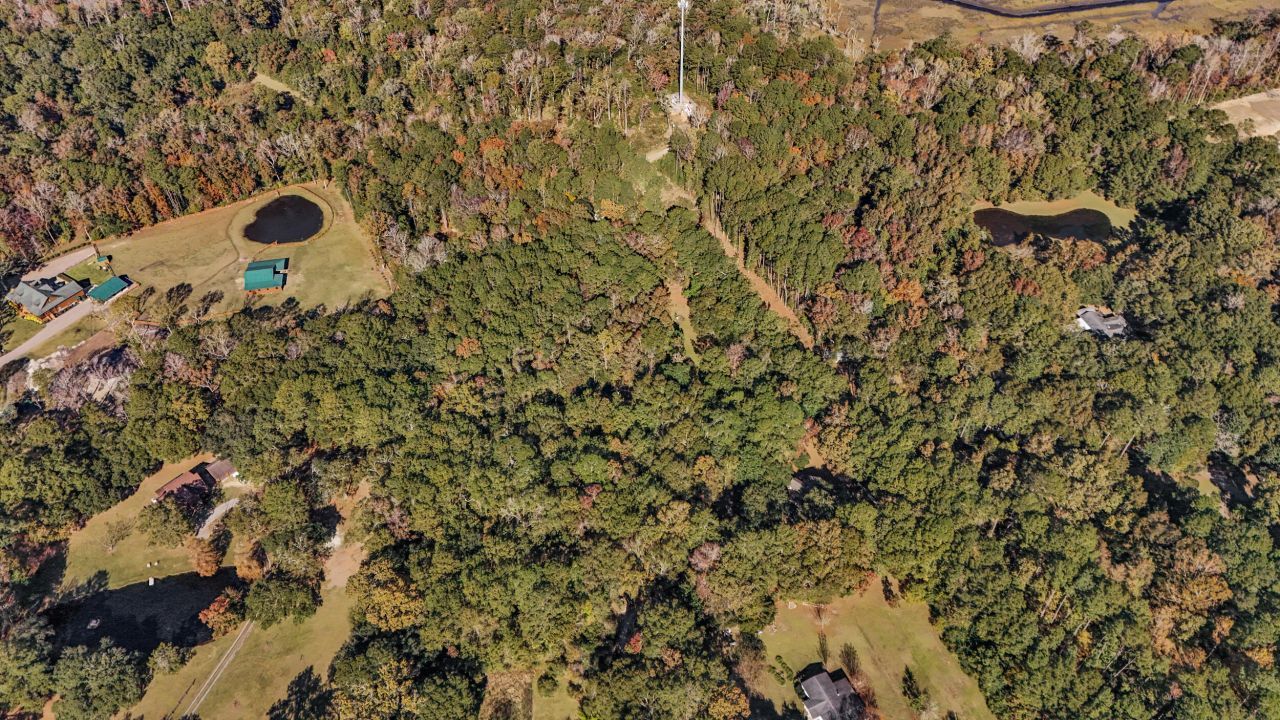 4910 Highway 162 Photo 17