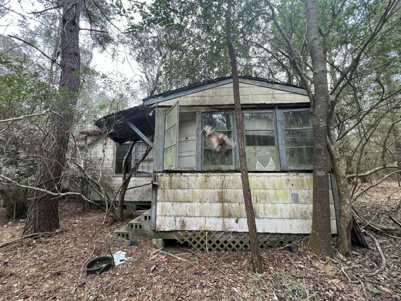 4910 Highway 162 Photo 22