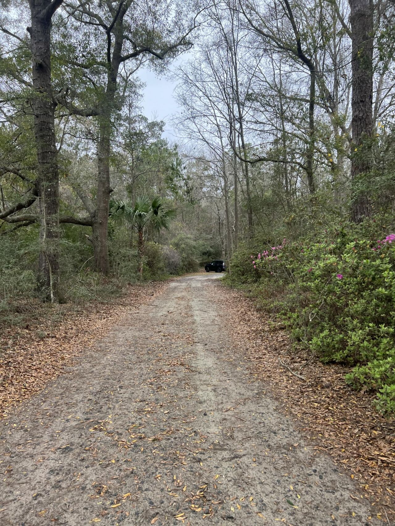 4910 Highway 162 Photo 23