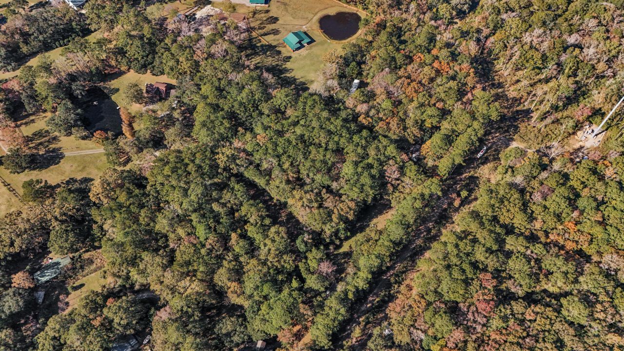 4910 Highway 162 Photo 5