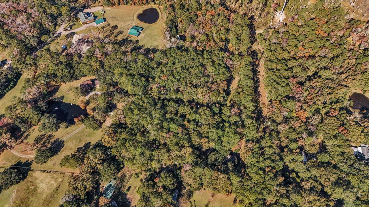 4910 Highway 162 Photo 9