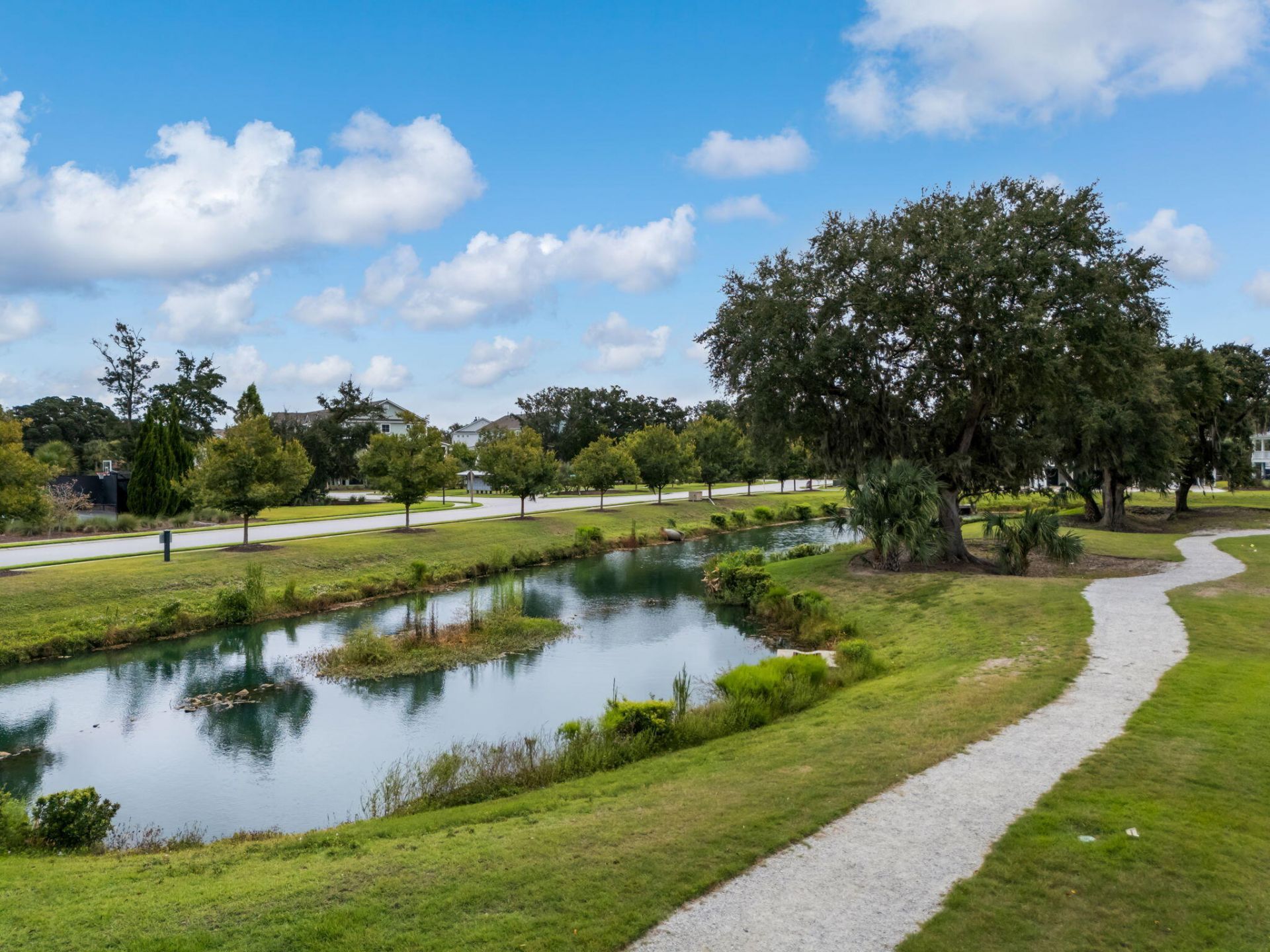 1508 Keshi Pearl Drive Photo 29