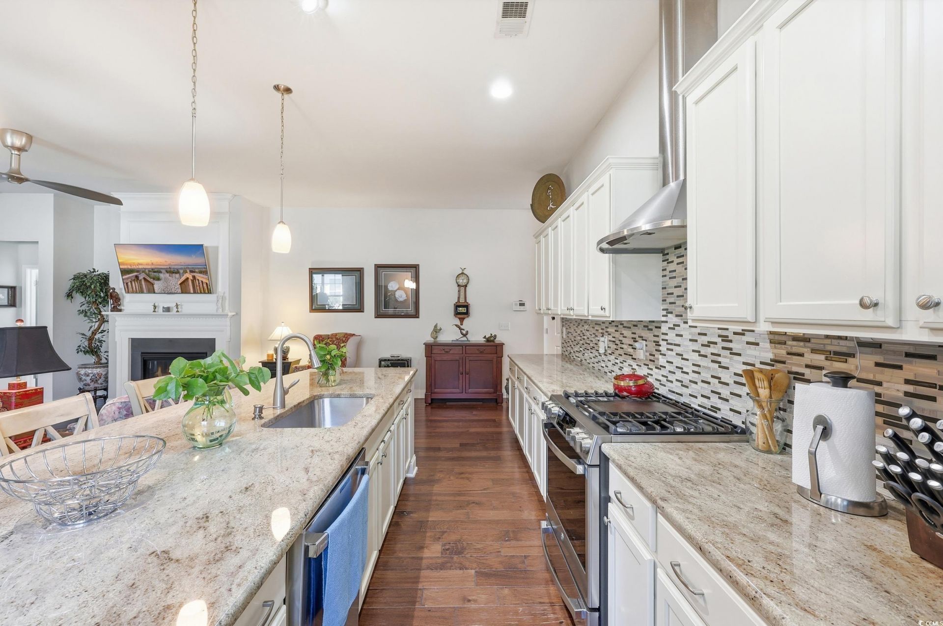 86 Hyacinth Loop Photo 10