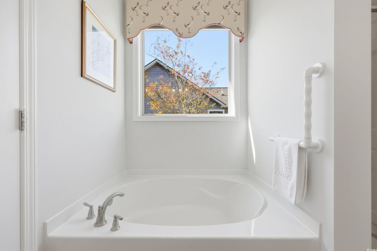 86 Hyacinth Loop Photo 27