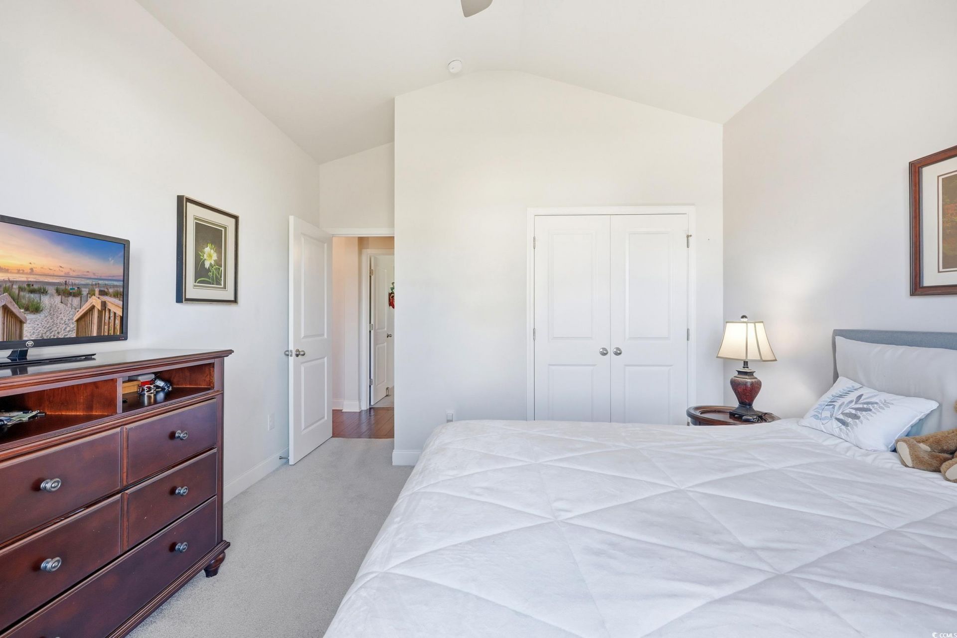 86 Hyacinth Loop Photo 28