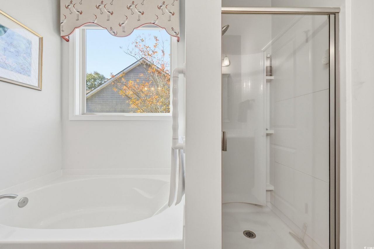 86 Hyacinth Loop Photo 28