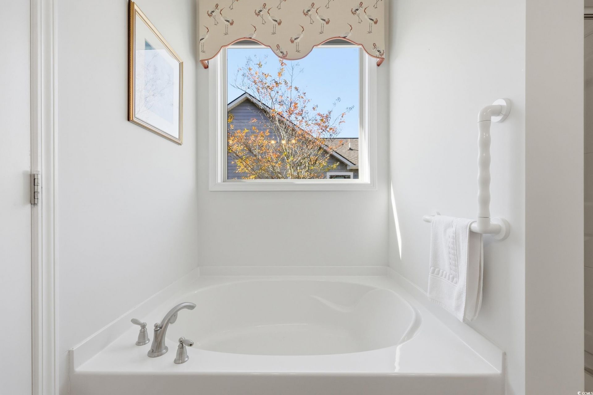 86 Hyacinth Loop Photo 34