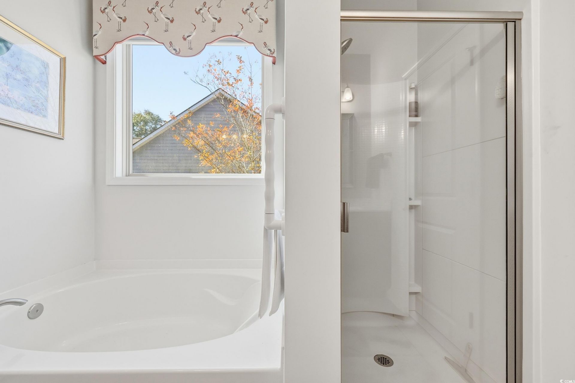 86 Hyacinth Loop Photo 35