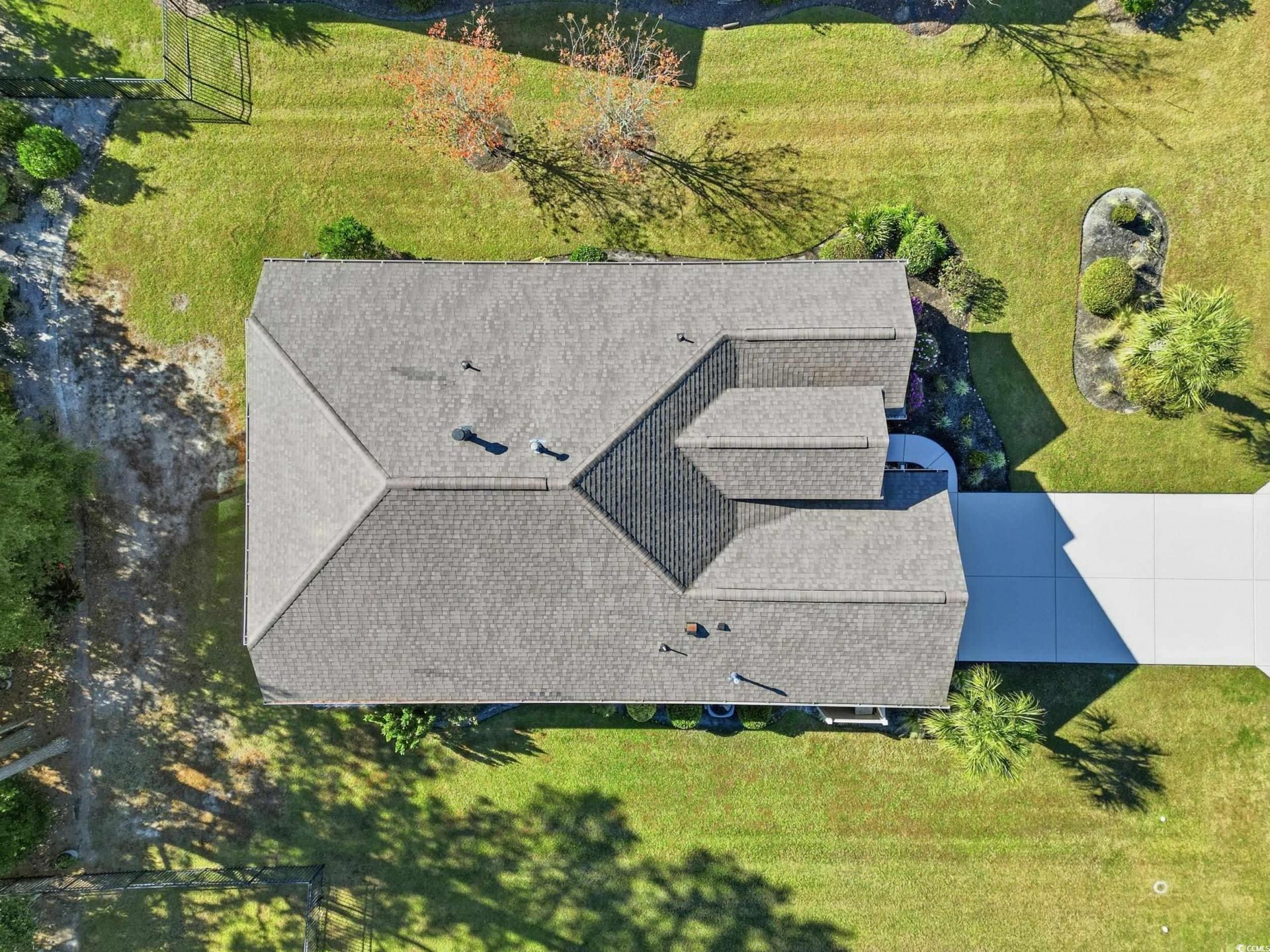 86 Hyacinth Loop Photo 43