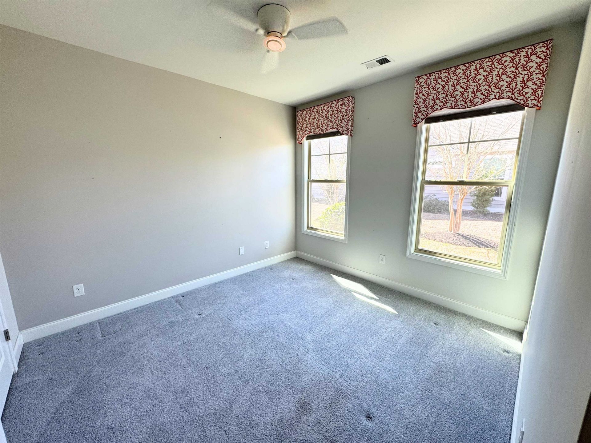 86 Hyacinth Loop Photo 8