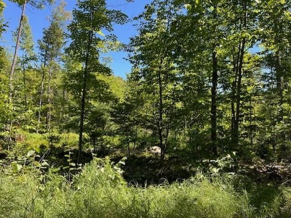 Lot 045 Sawyer Notch Road, Andover, ME 04216