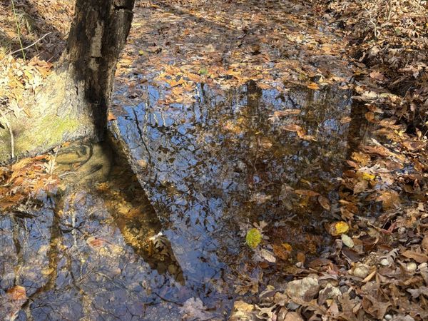 1212 Second Creek Rd , Lutts, TN 38471