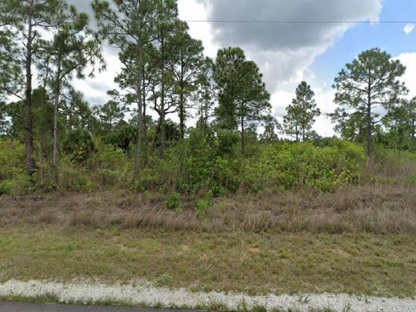 1003 Hines Avenue, Alva, FL 33920