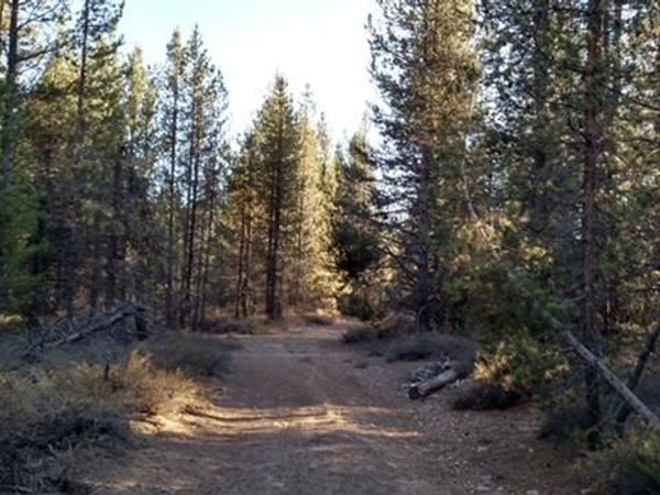 4800 Bear Flat (NF 86), Chemult, OR 97731