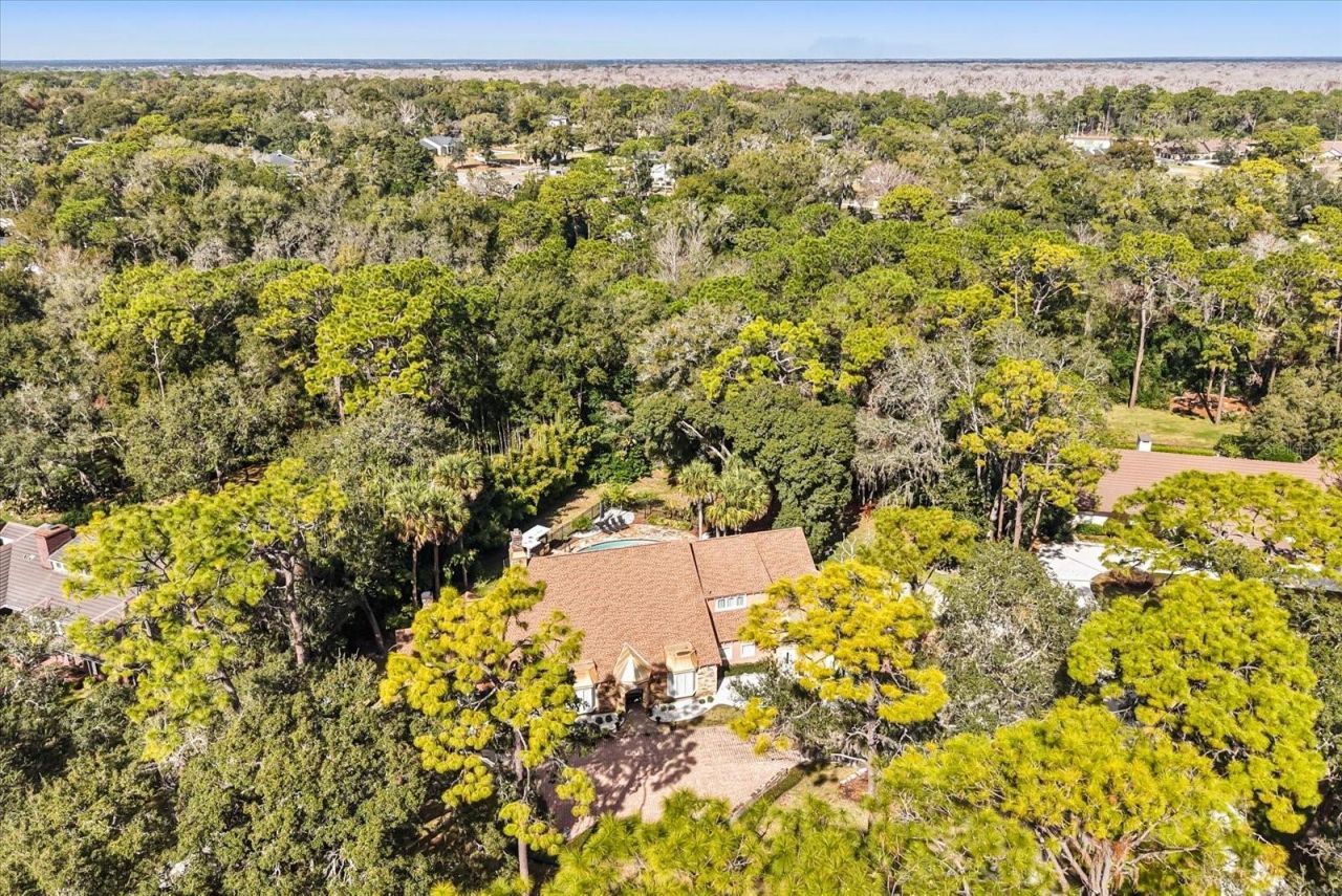 301 Magnolia Lake, Longwood, FL 32779 Photo