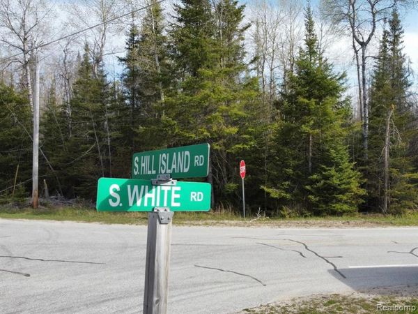S White Road , Clark Twp, MI 49719
