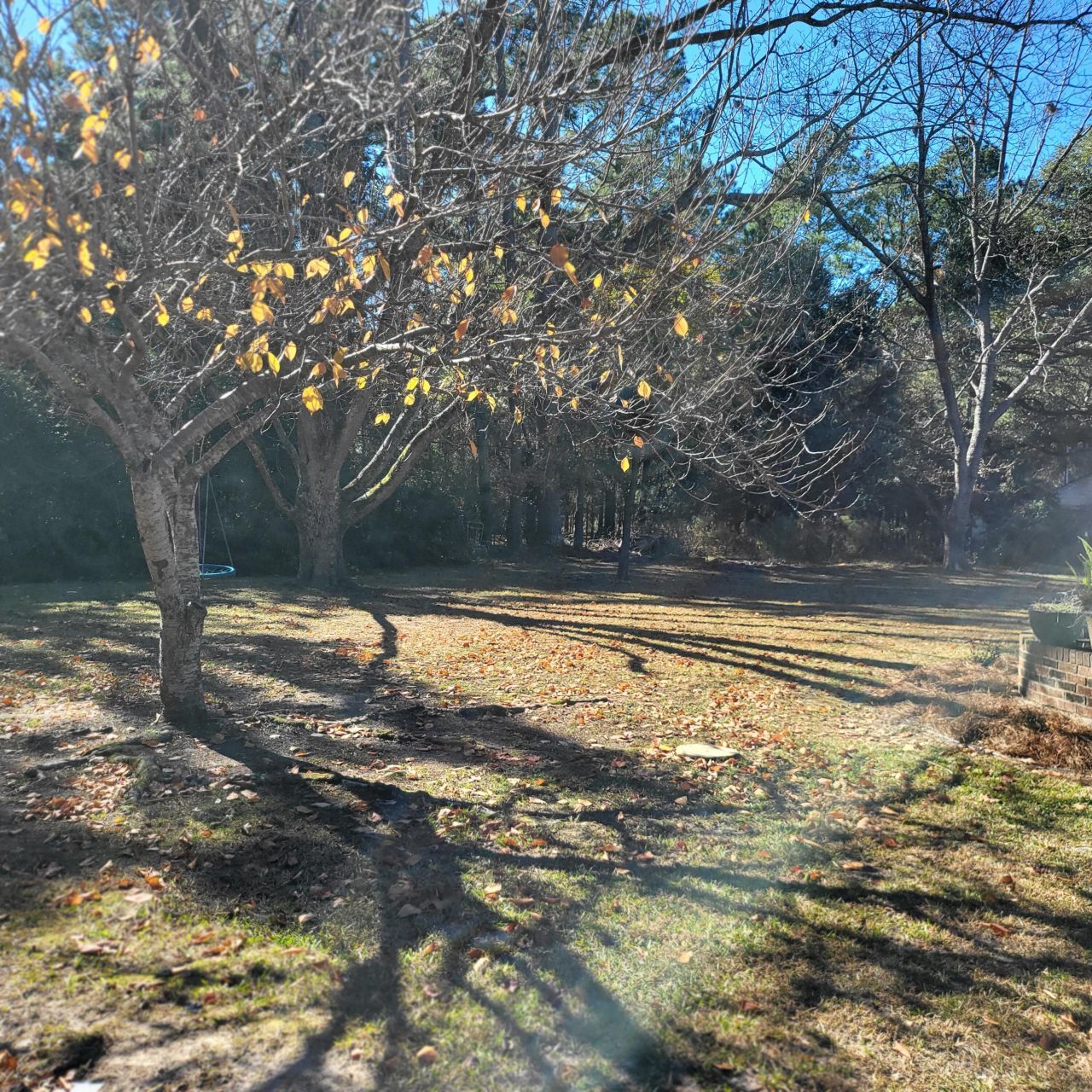 416 Pine Hill Road Photo 25