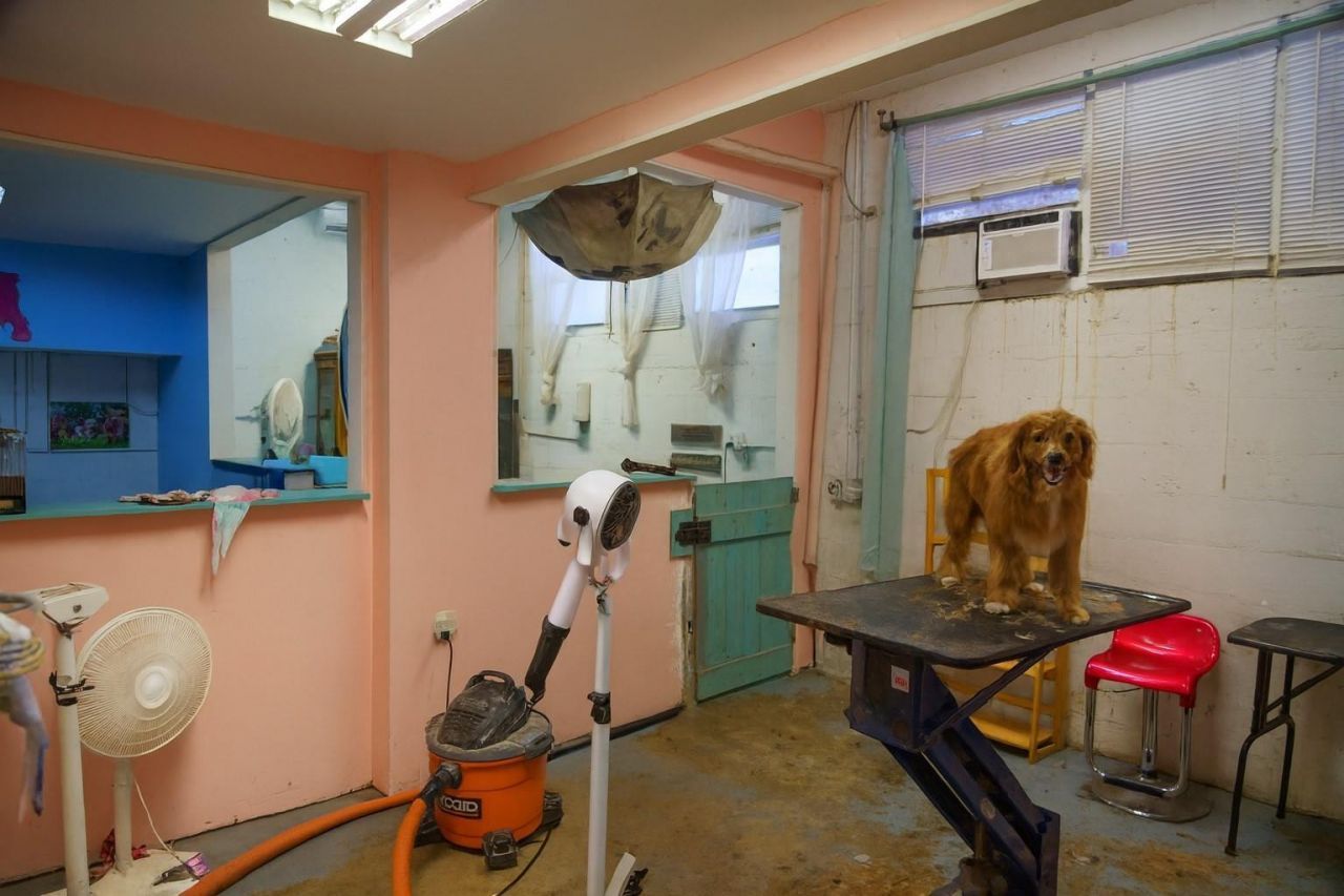 367 NE 3rd Avenue, Delray Beach, FL 33444 Photo