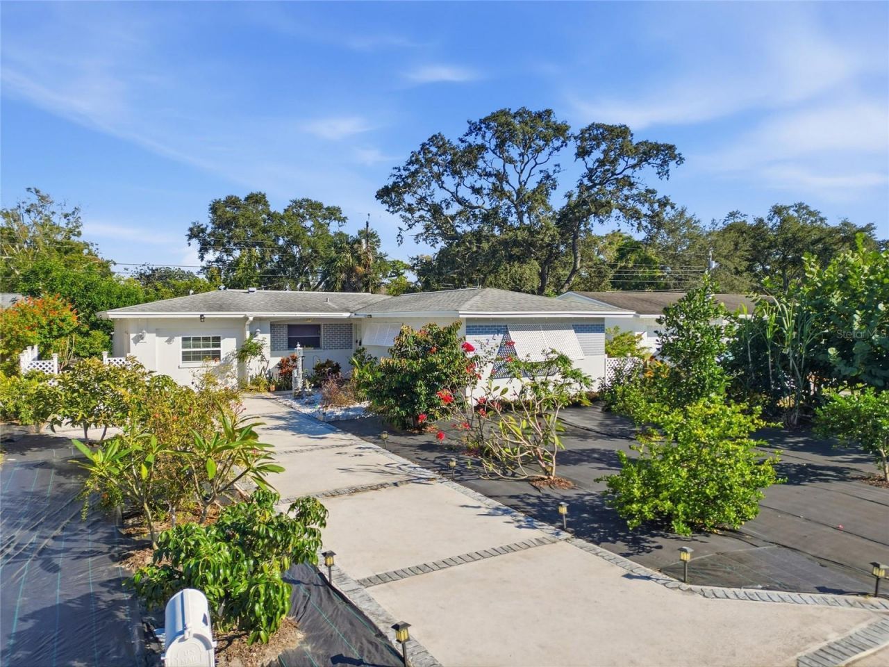 29747 70th Street N, Clearwater, FL 33761 Main Photo