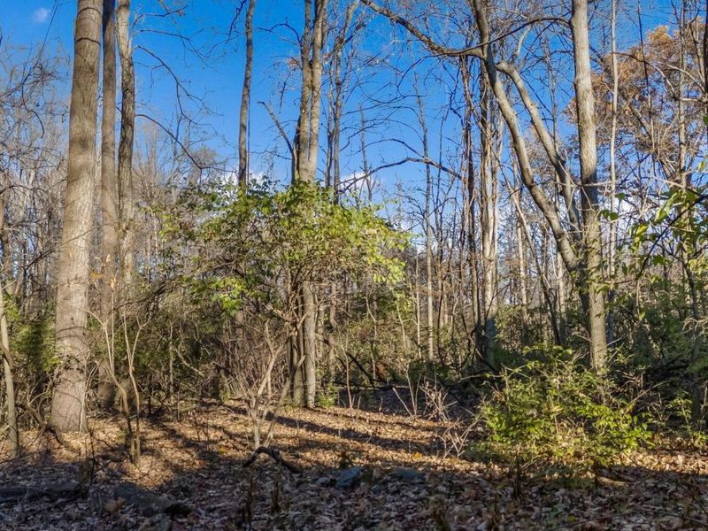 180 Hull Court, Delaware, OH 43015 Photo 19