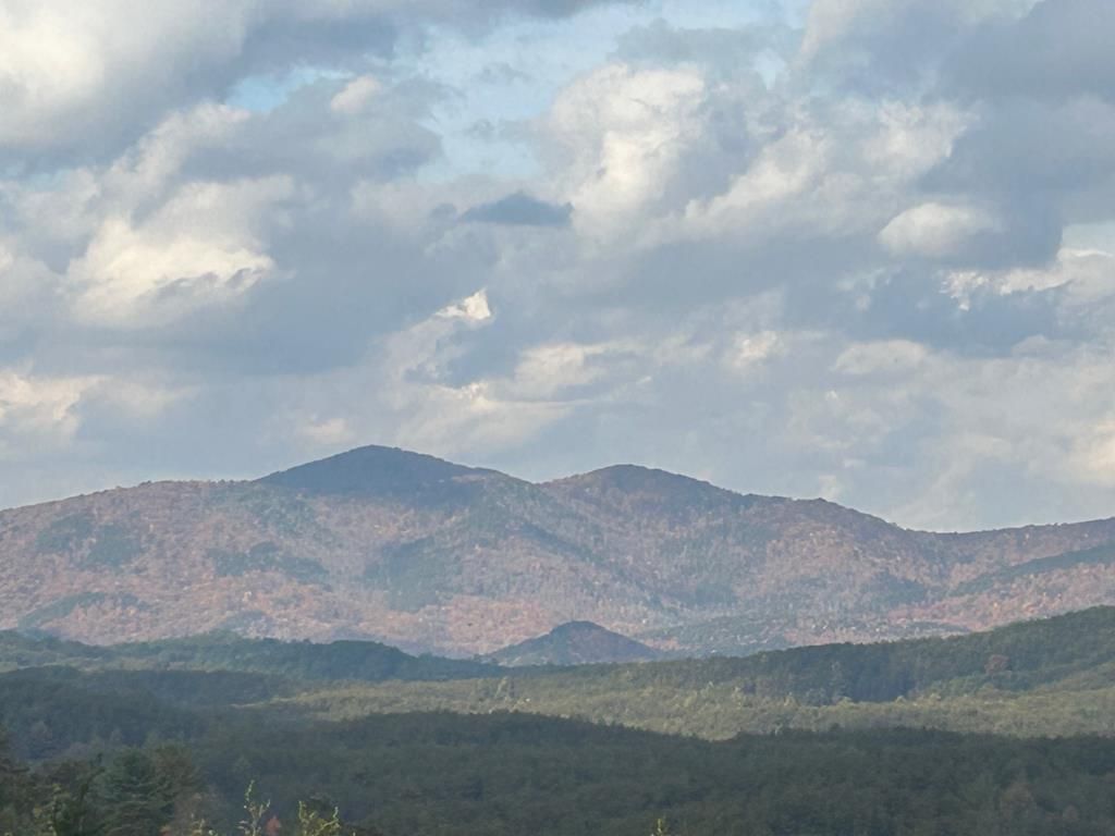 0 Singo Drive, Turtletown, TN 37391 Main Photo