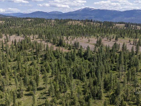 TBD1 Us-95, New Meadows, ID 83654