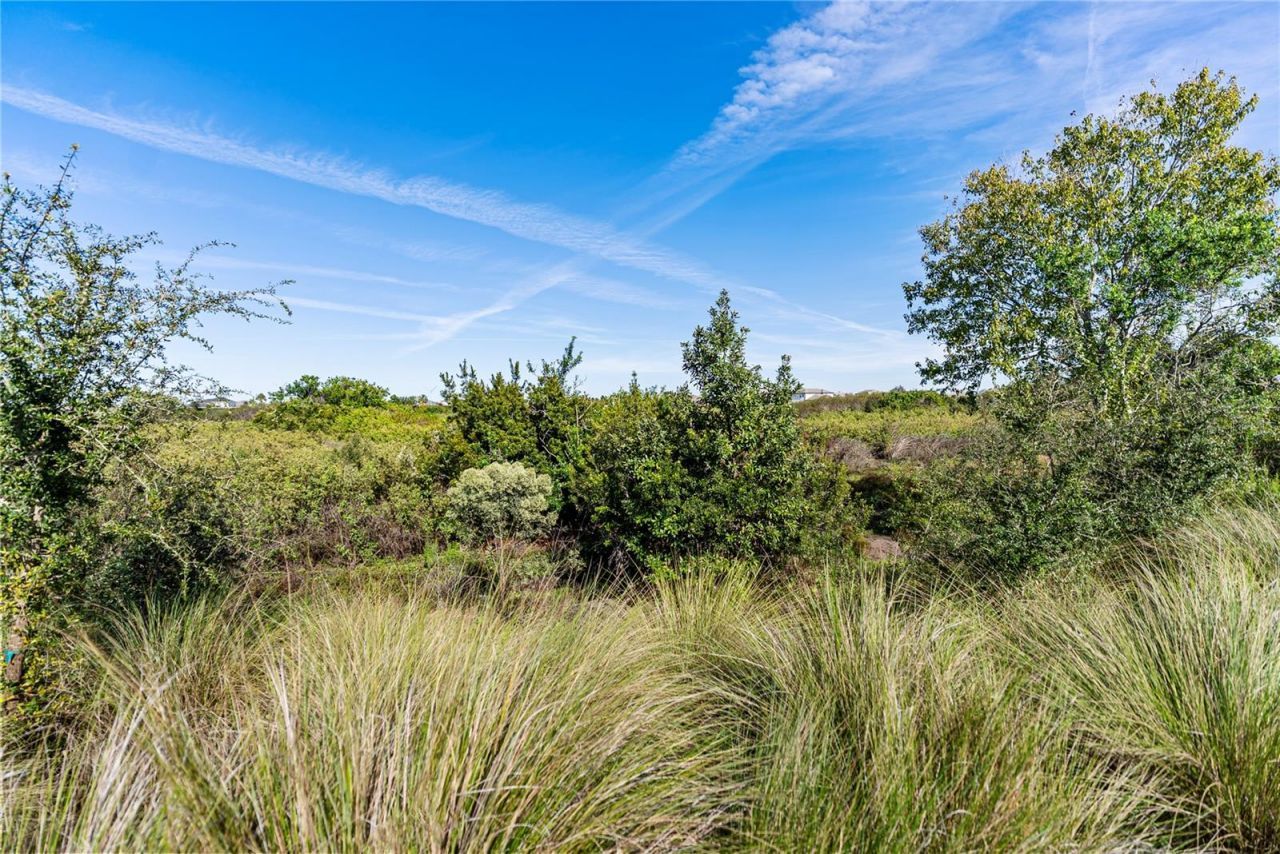 16743 Seraphic Trail, Bradenton, FL 34211 Photo