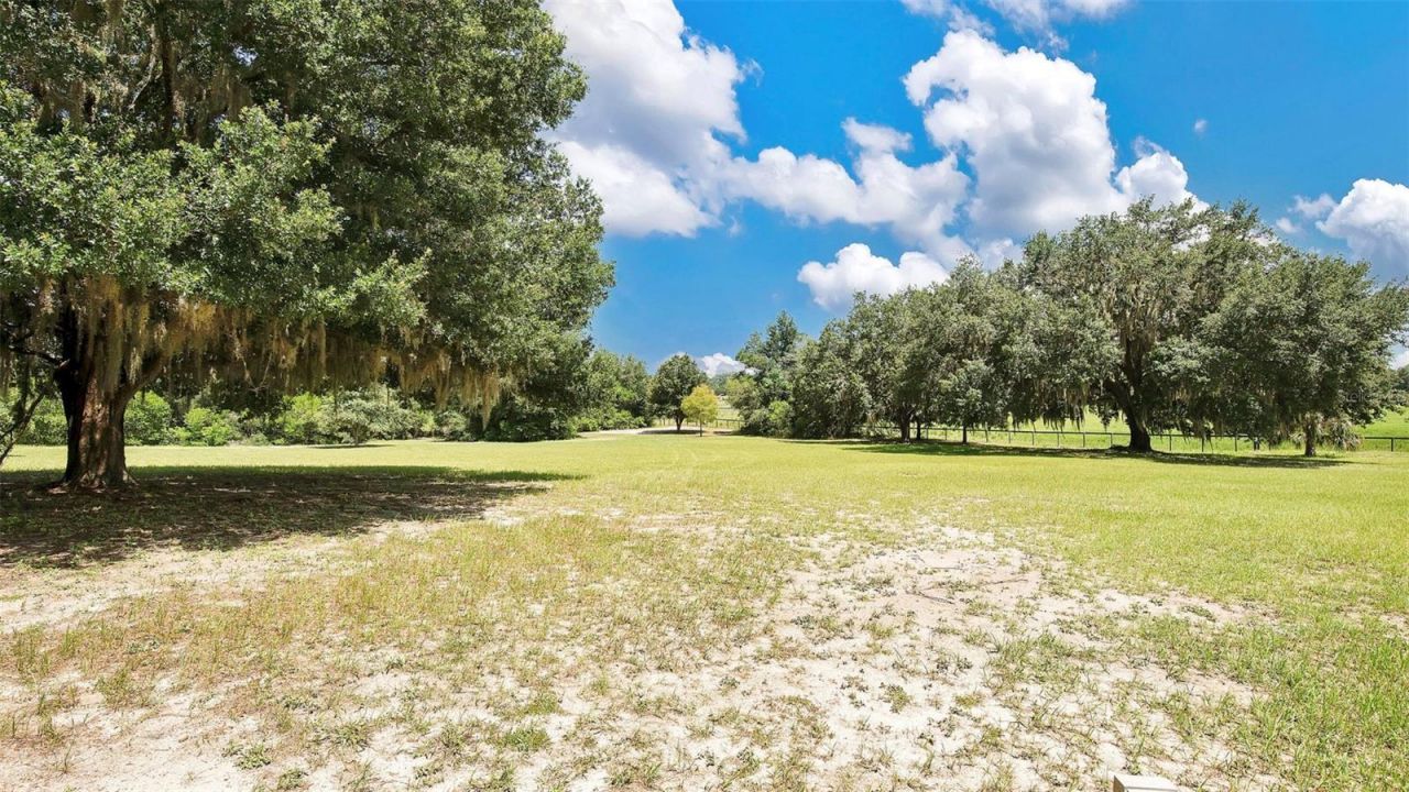 31336 County Road 437, Sorrento, FL 32776 Photo