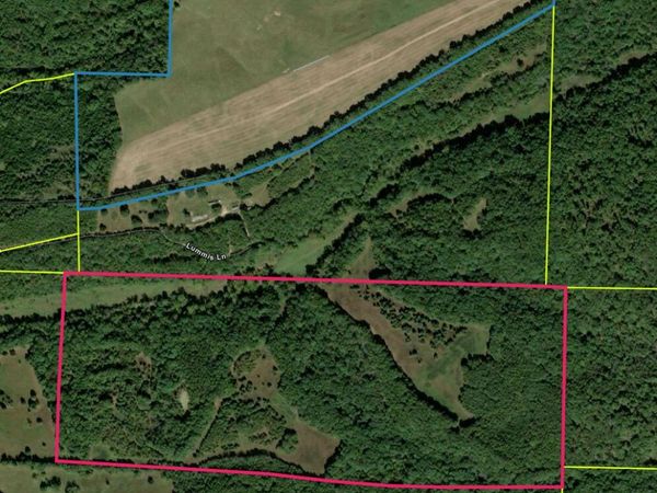 000 Lummis Lane, Wasola, MO 65773