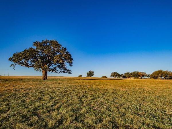 10540 Highway 281, Mineral Wells, TX 76486