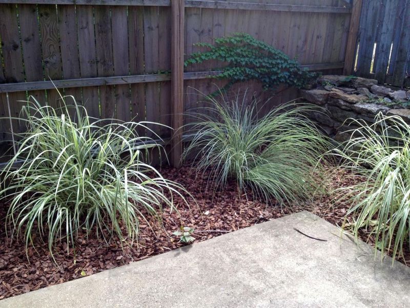 421 Hopkins Street, Cincinnati, OH 45203 Photo 18