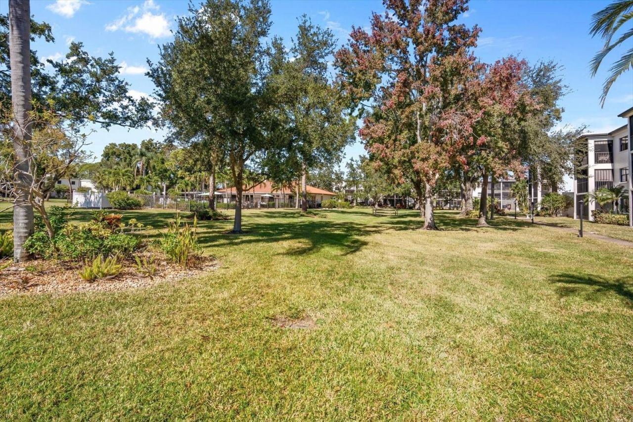 4910 Bay Street Ne, Unit 105, Saint Petersburg, FL 33703 Photo