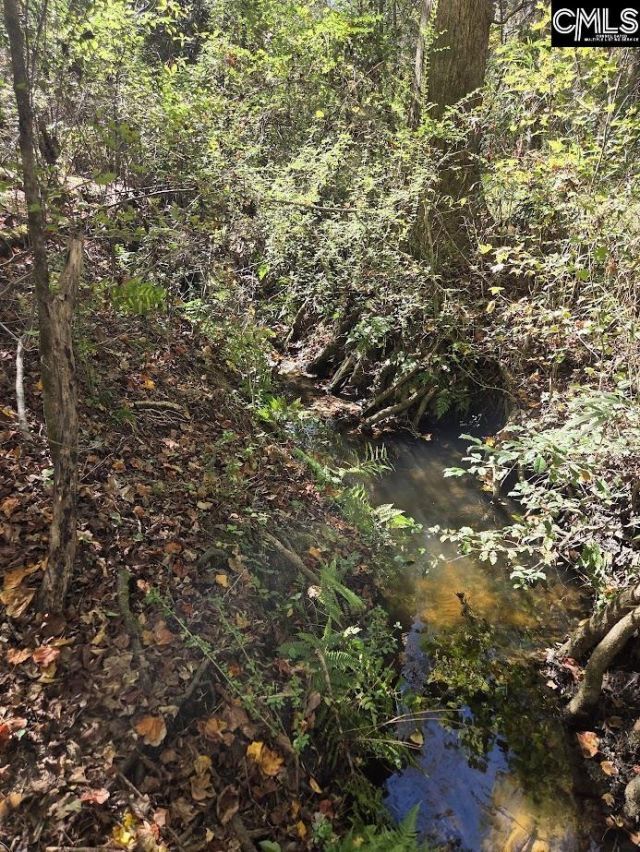 17 Five Bridges Road Photo 10