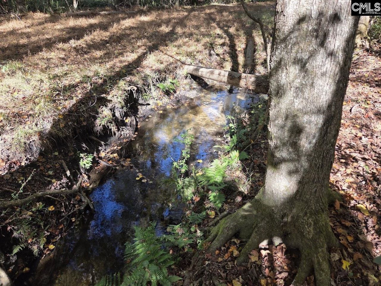 17 Five Bridges Road Photo 11