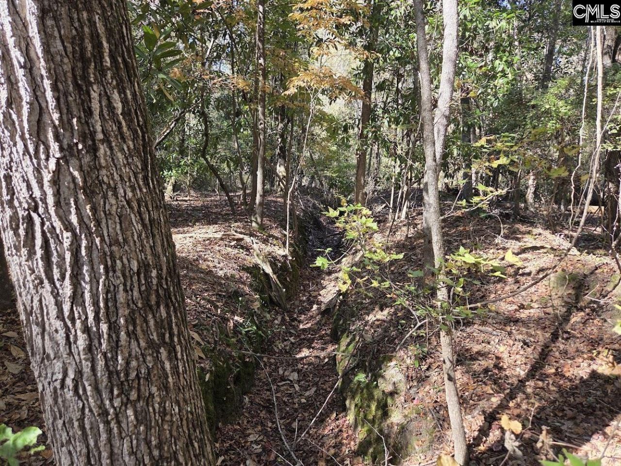 17 Five Bridges Road Photo 13