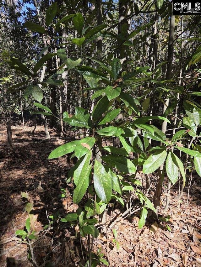 17 Five Bridges Road Photo 14