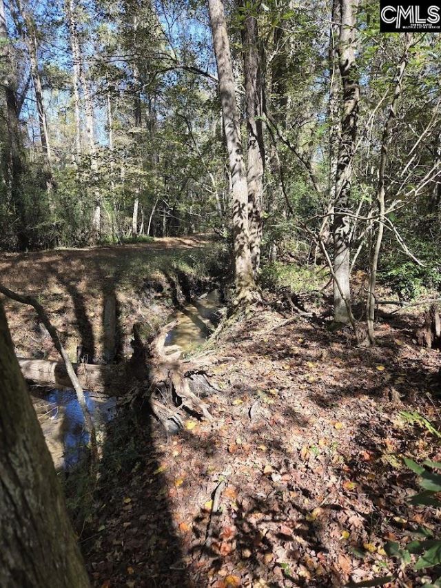 17 Five Bridges Road Photo 15