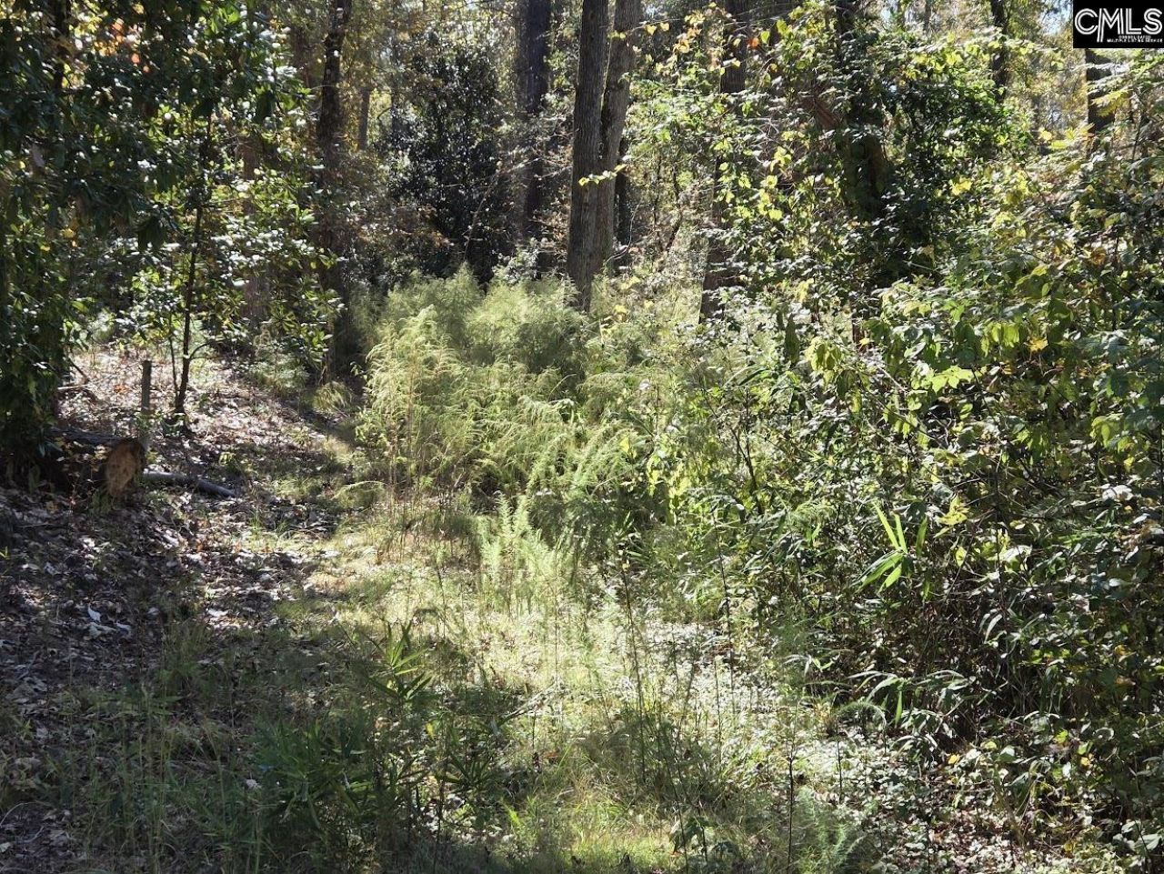 17 Five Bridges Road Photo 17