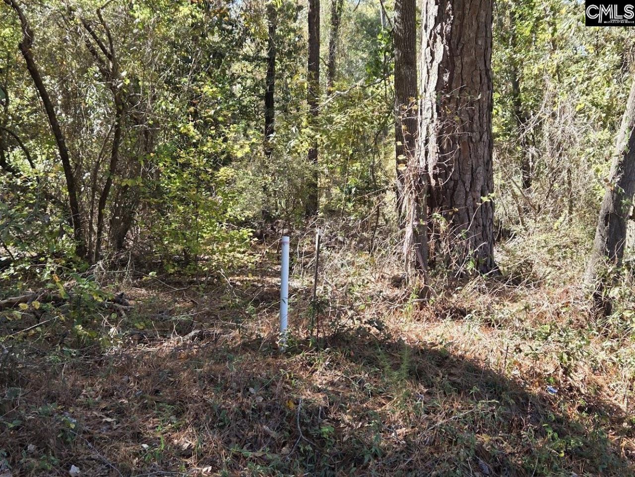 17 Five Bridges Road Photo 18