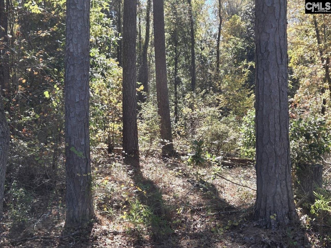 17 Five Bridges Road Photo 19