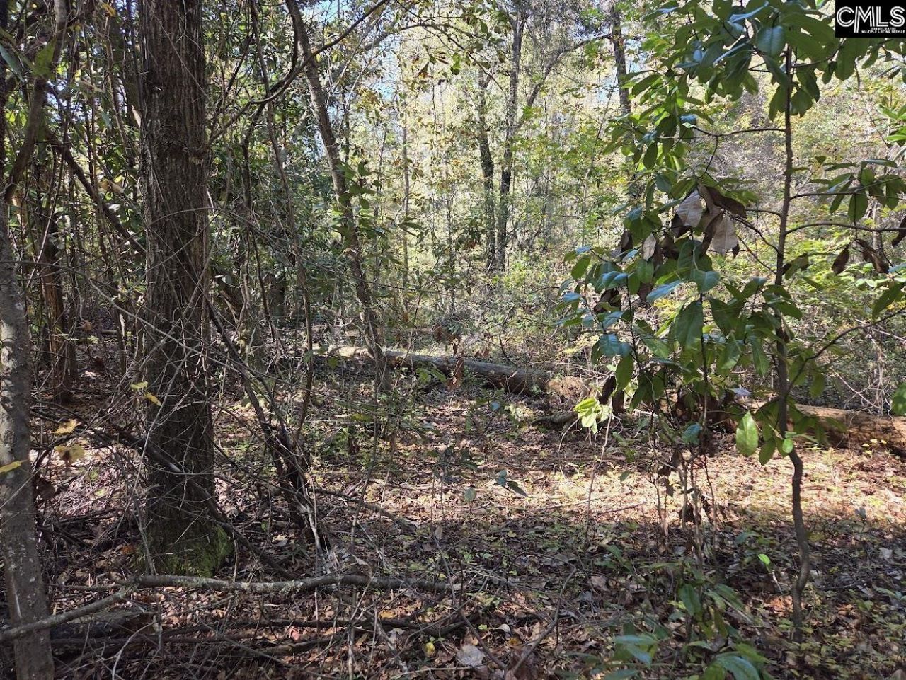 17 Five Bridges Road Photo 4