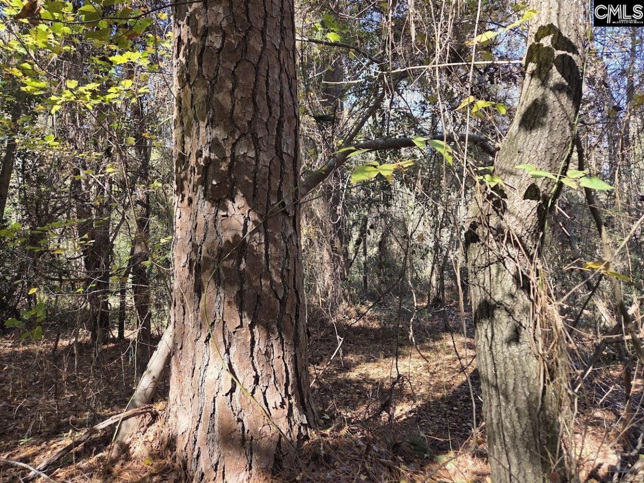 17 Five Bridges Road Photo 5