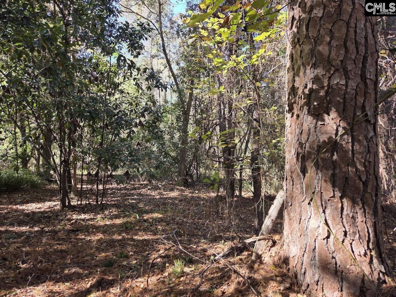 17 Five Bridges Road Photo 6